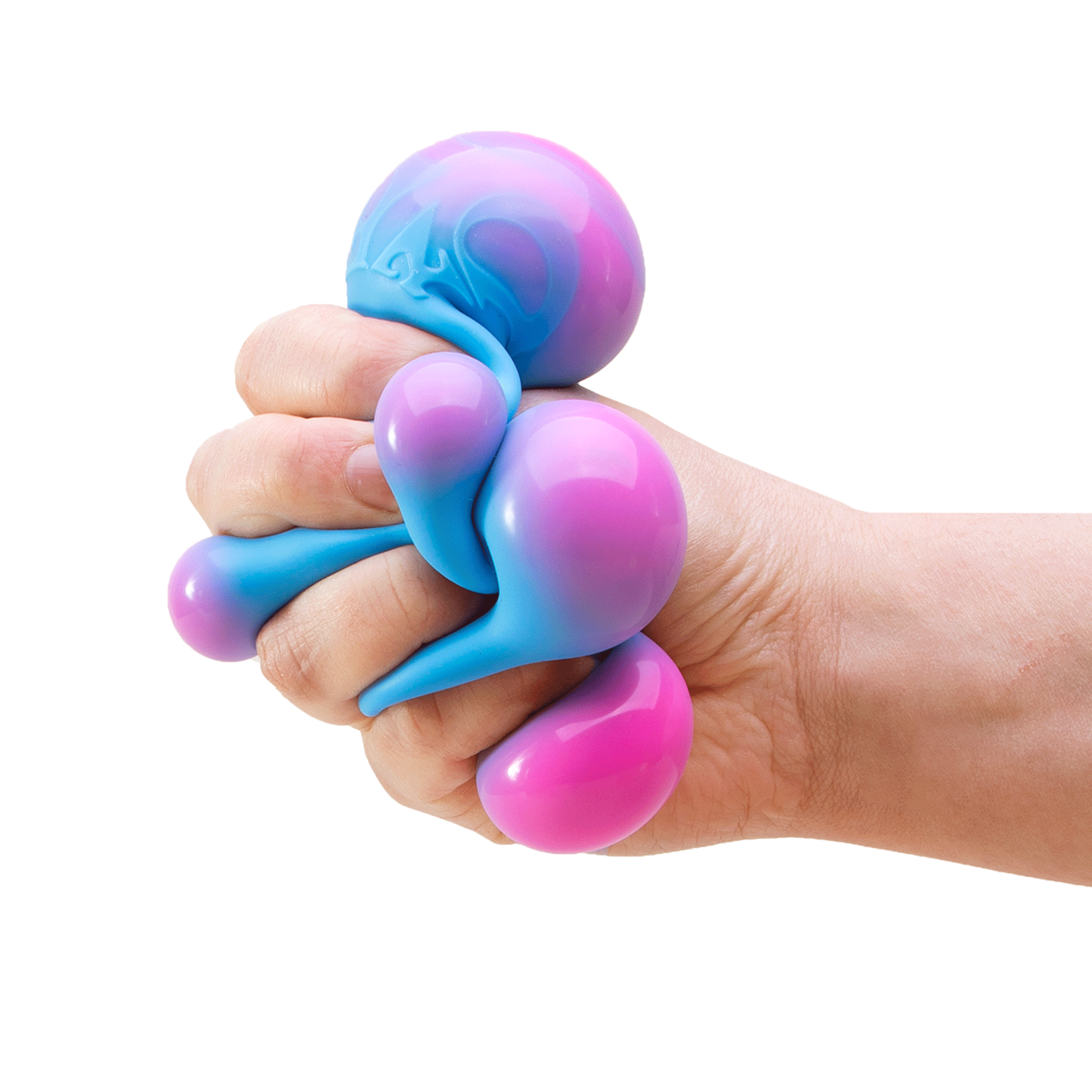 CCBND_Image9